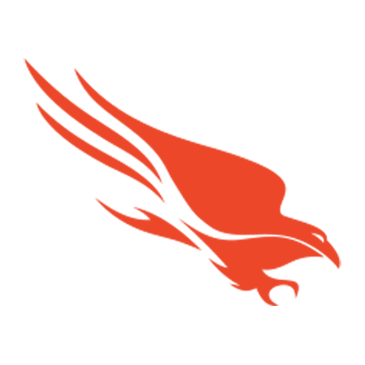 Falcon Security & IT operations